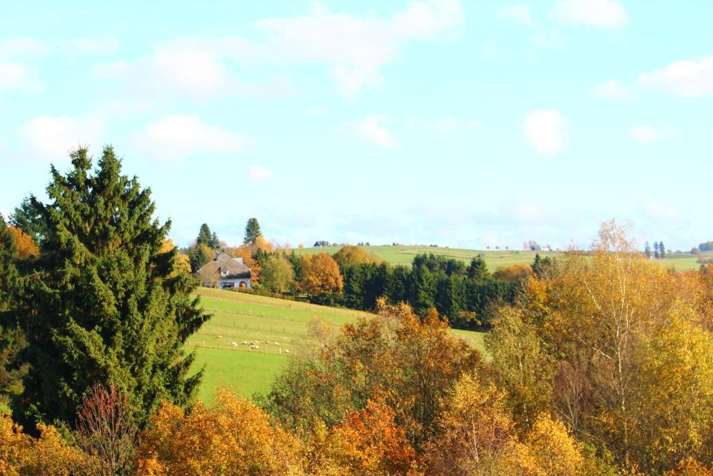 Les Alisiers Hotel Nadrin Buitenkant foto